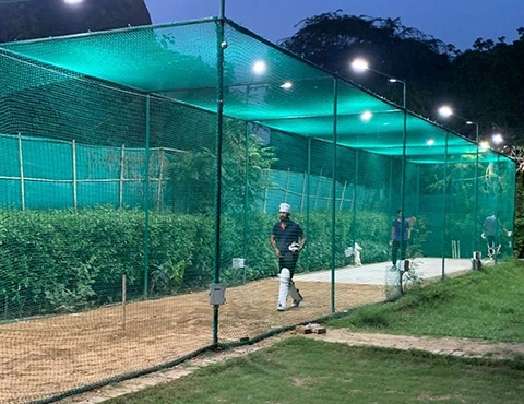 cricket